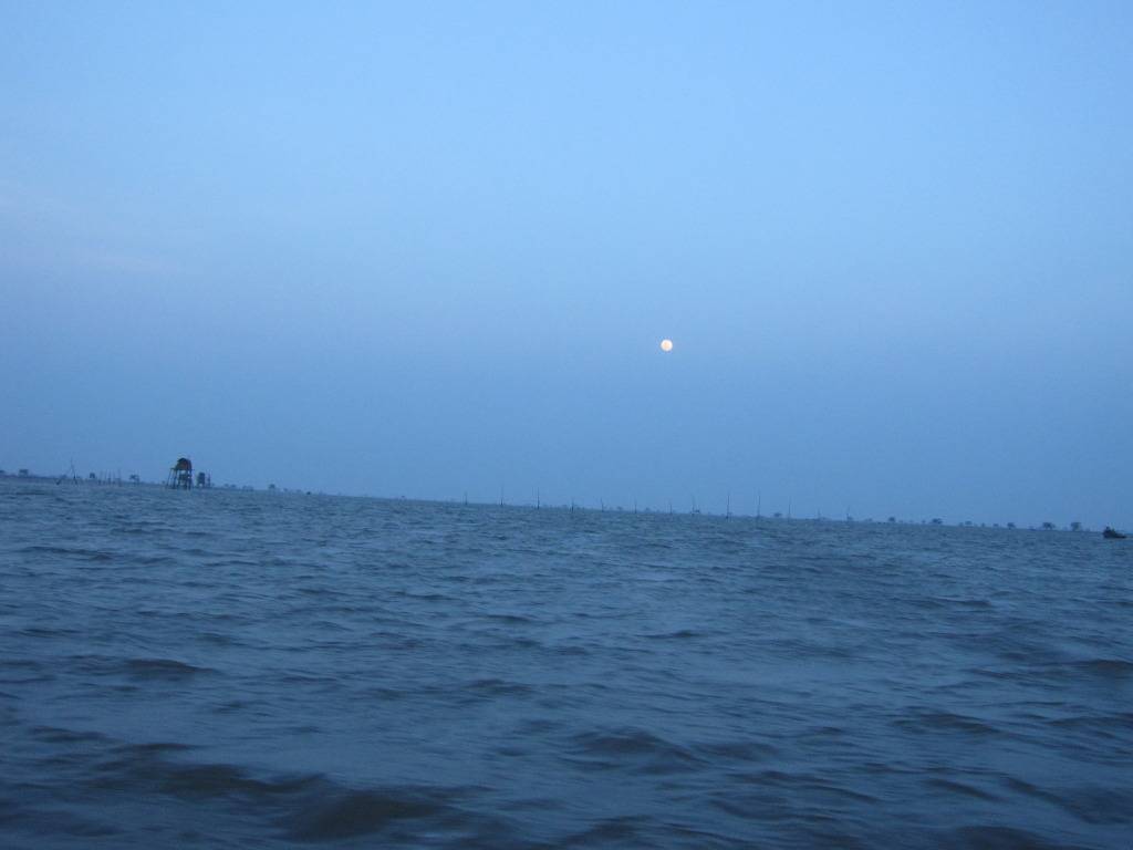 IMG_38562.jpg
