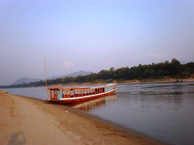 P2040581.jpg