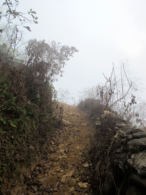 HongNgai2011565.jpg