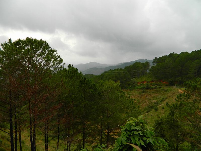 DSCN1712.jpg