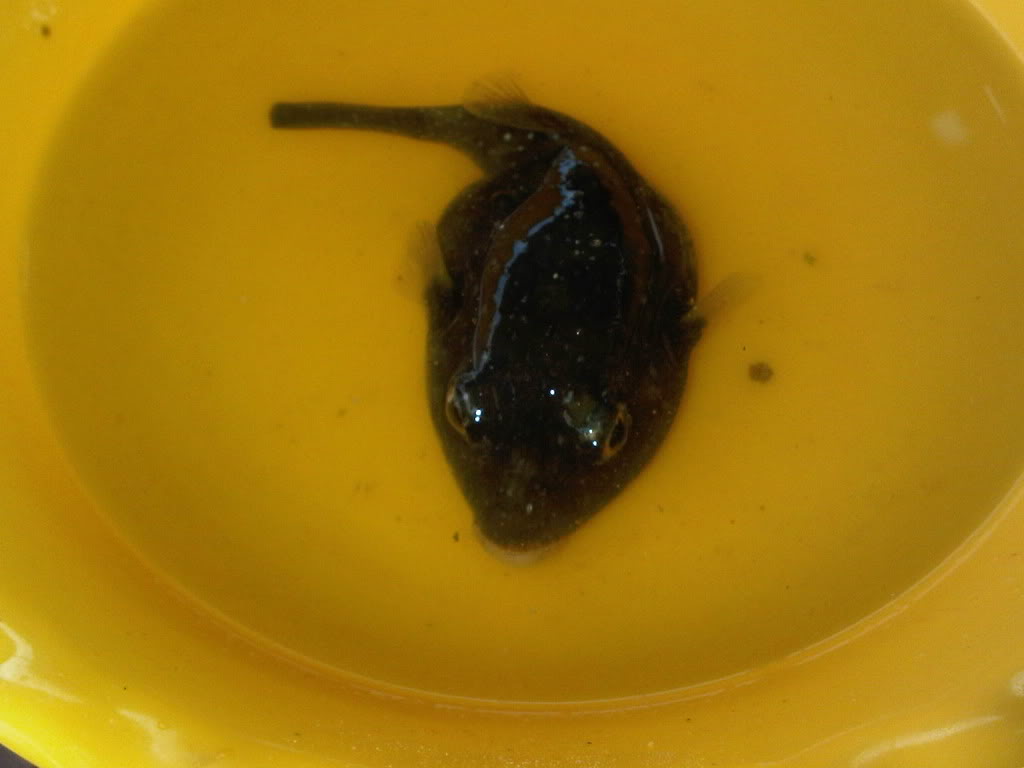 IMG00114-20111113-0727.jpg