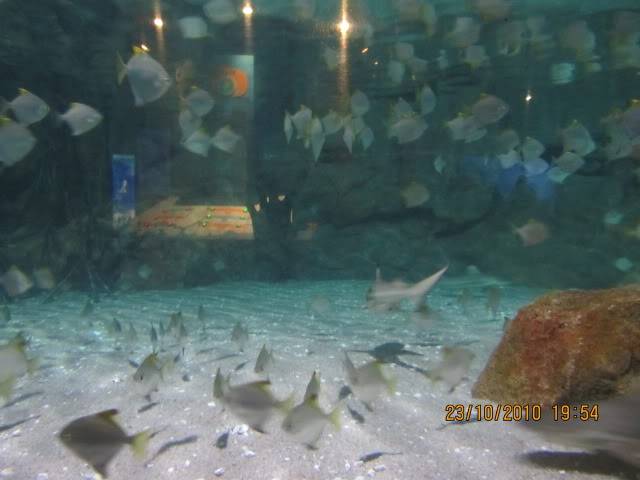 Picture098.jpg