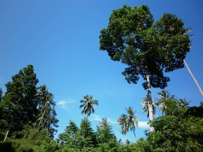 P1000883.jpg
