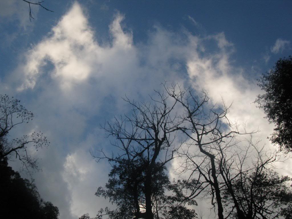 IMG_4148_zpsba4dc5dd.jpg