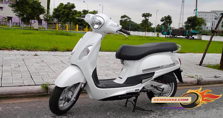 Xe Tay Ga 50cc Cho Người Già Trung Niên Lớn Tuổi 7