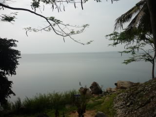 P1000733.jpg