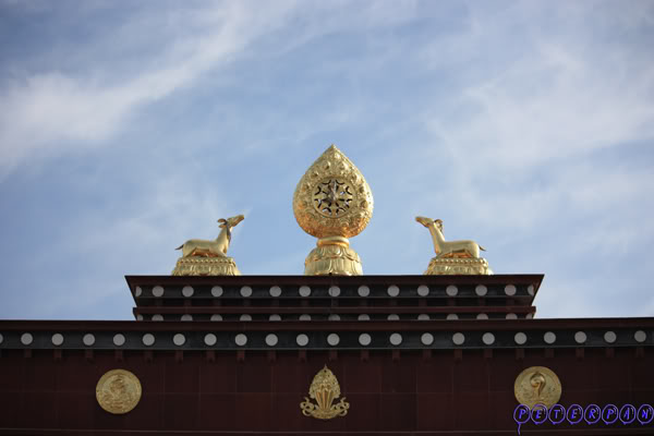 shangri-la35.jpg