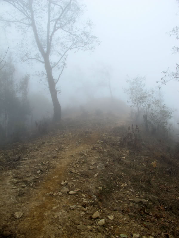 HongNgai2011572.jpg