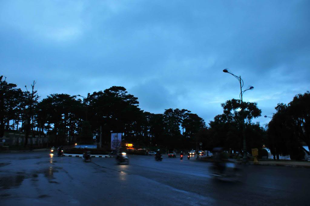 DSC_3442.jpg