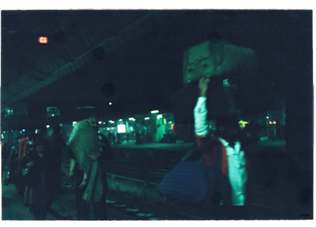 DL109.jpg