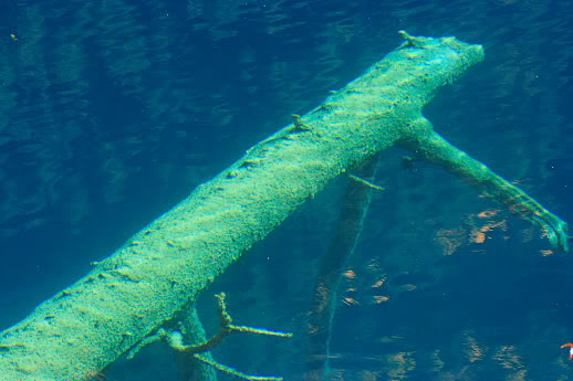 DPP_0124.jpg