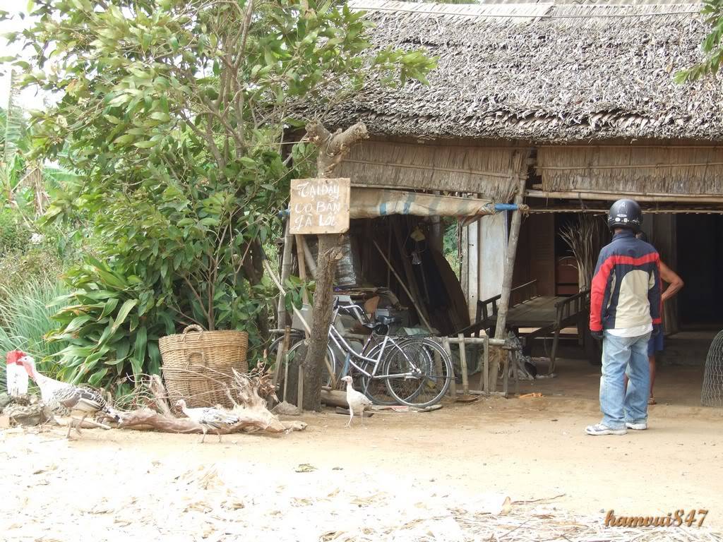 phuot2-1-2010-16.jpg