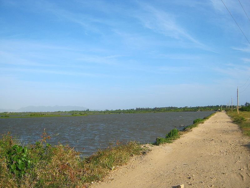 IMG_9020.jpg