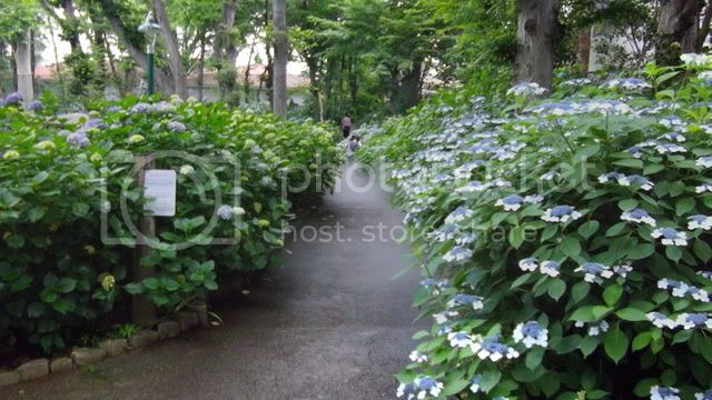 IMGP0258.jpg