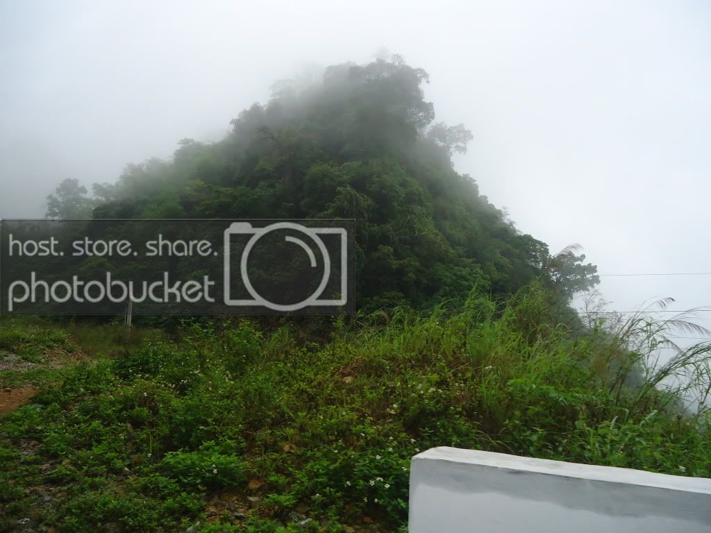 DSC01237.jpg