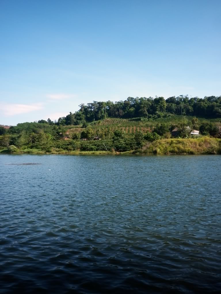 P1020008.jpg
