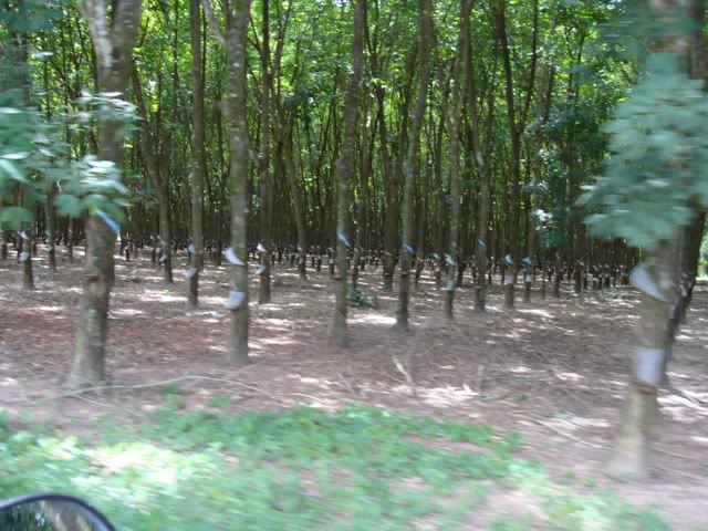 DSC00661.jpg