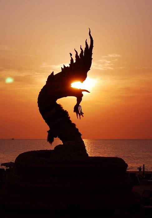 DSC_6608_resize.jpg