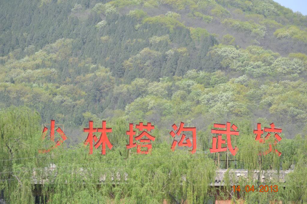 DSC_1032_zpsb1563fa0.jpg