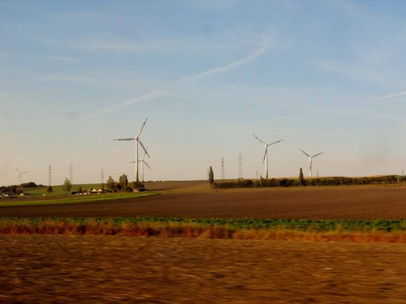 DSCN5578.jpg