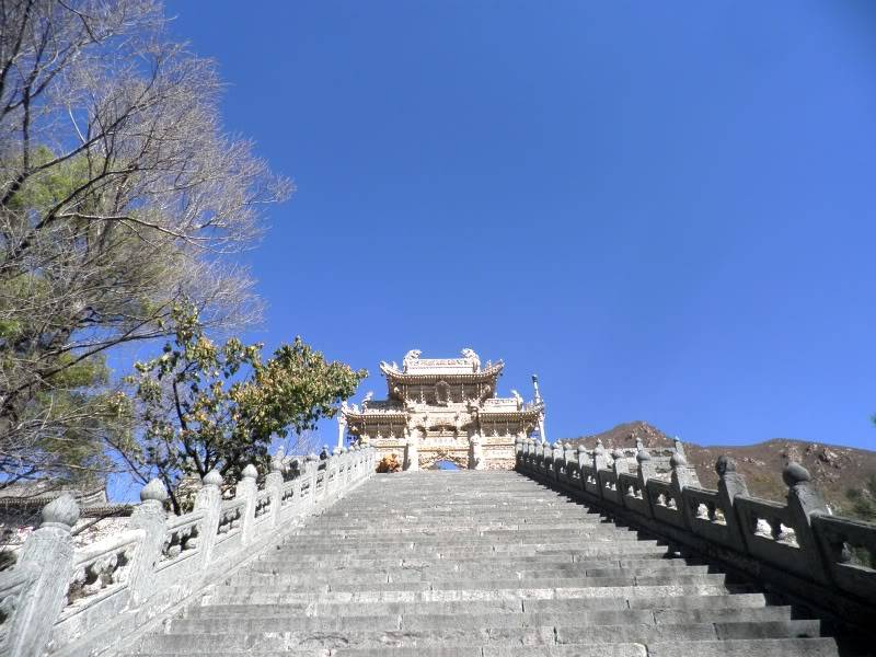 PA141303.jpg