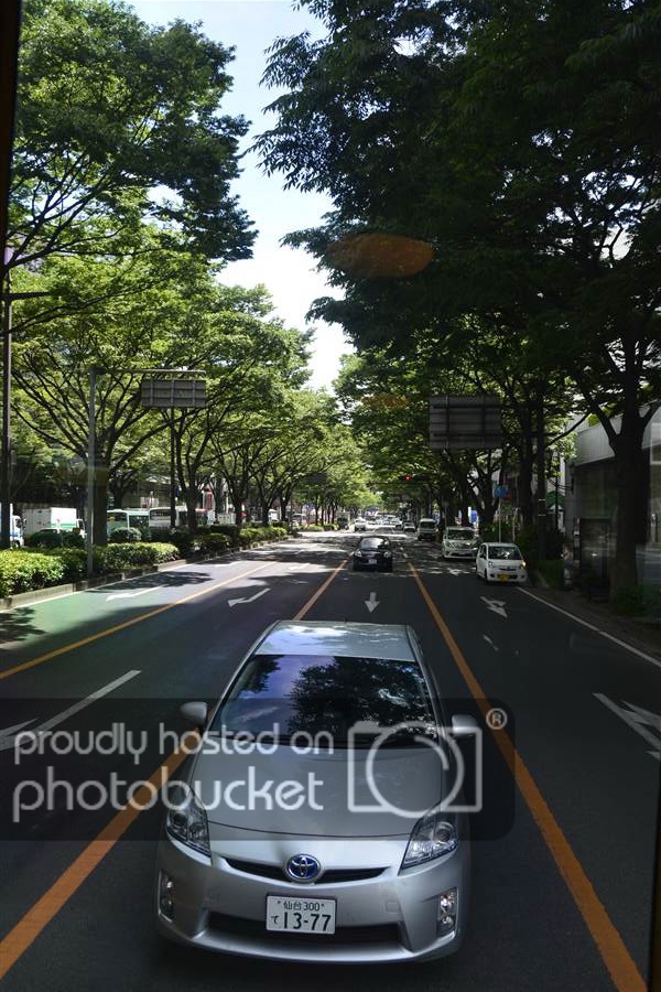 resized__SAM8261_zpsqlosrxex.jpg