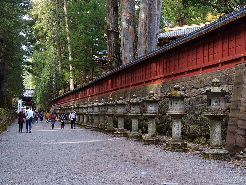 nikko21.jpg