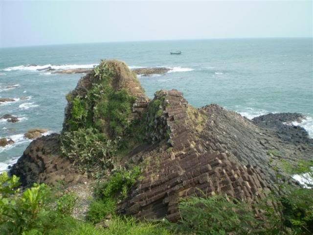 P1010048Medium.jpg