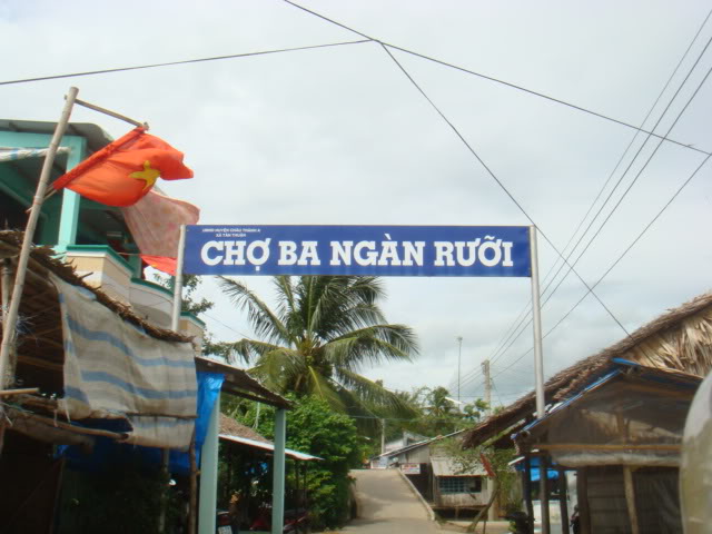 320.jpg