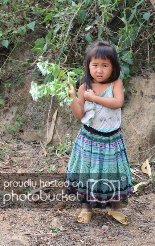 IMG_2786_zps4dbde1d2.jpg