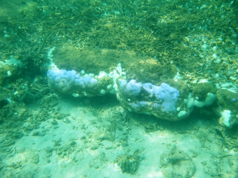 DSCF0112.jpg