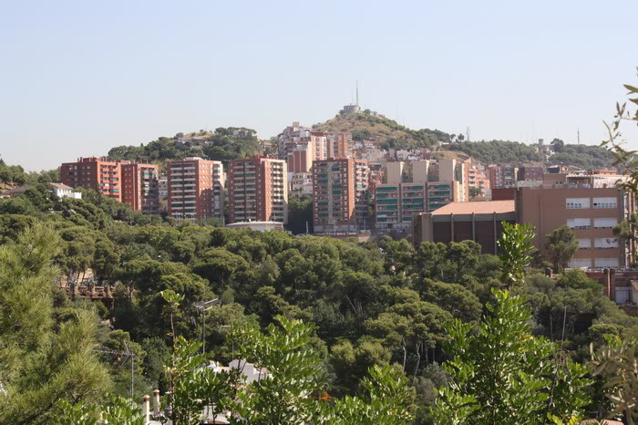 IMG_8657.jpg