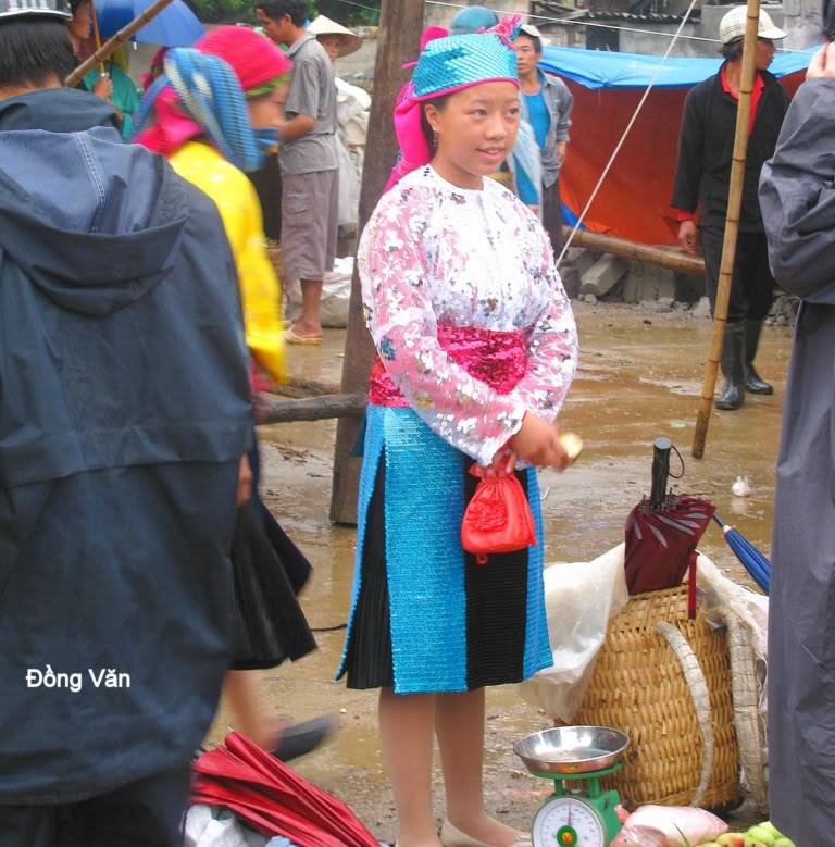 ngVn-0011024x768.jpg