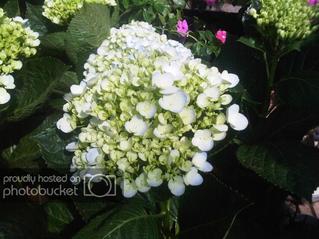 IMG-20111122-00169.jpg