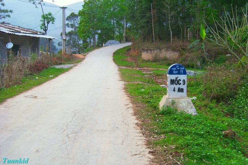 SDC16209.jpg