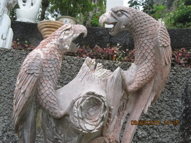 IMG_6622.jpg