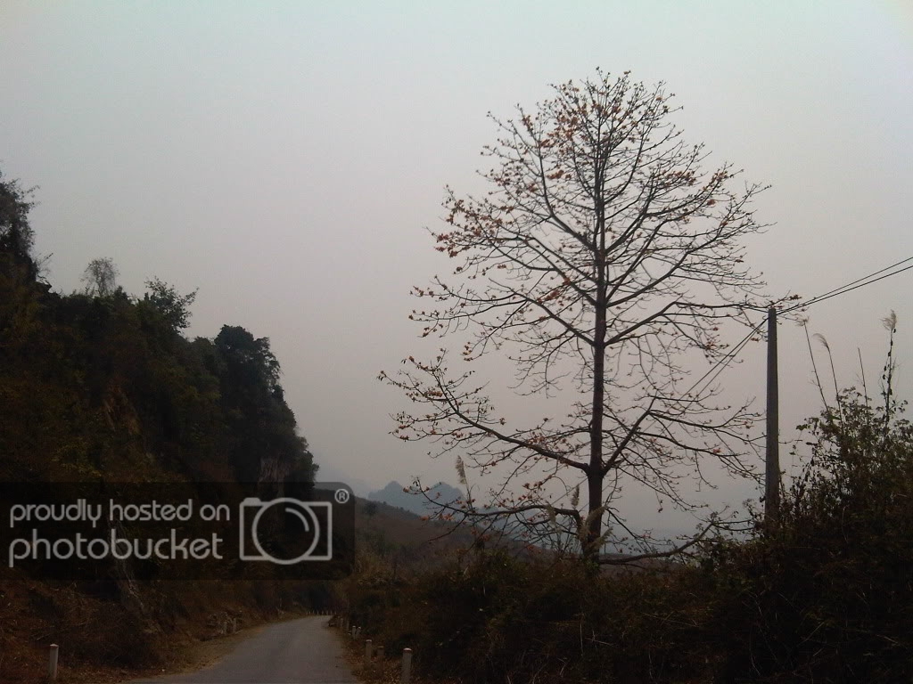 IMG00472-20120304-1148.jpg