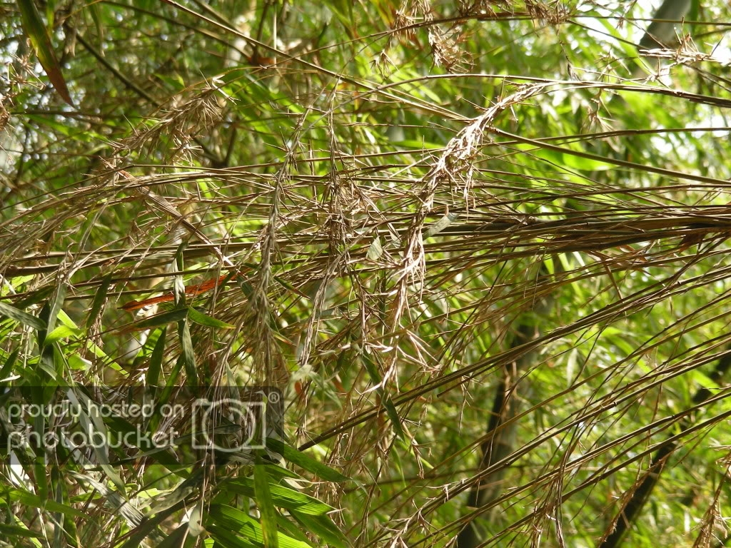 DSCN3270.jpg