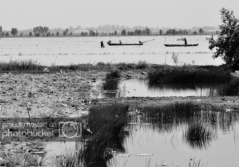 DSC_4595.jpg