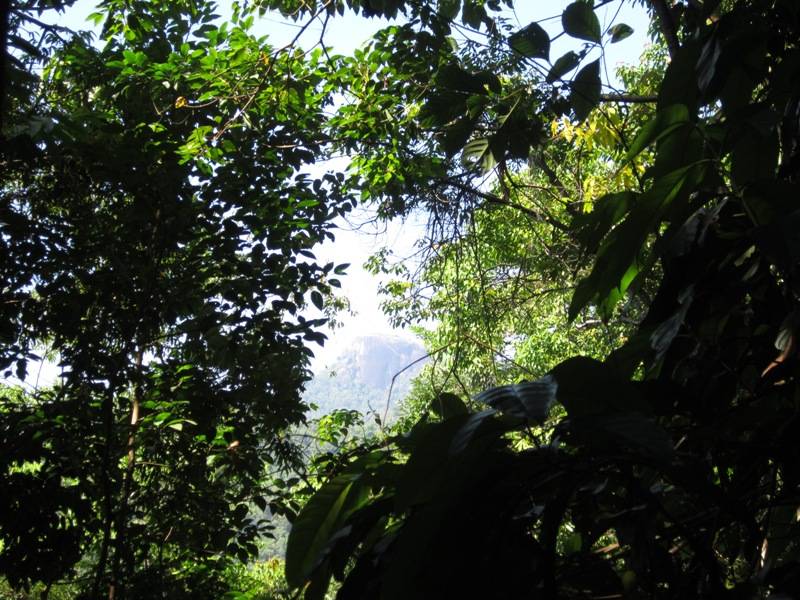 1203_zps3eac90f2.jpg