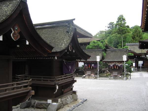 IMG_1053_resize.jpg