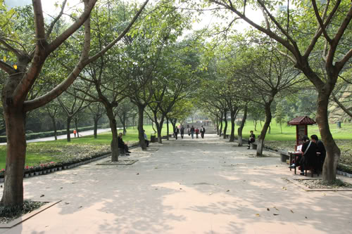 lacson1.jpg