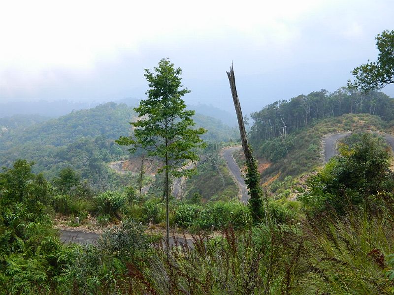 DSCN2641.jpg