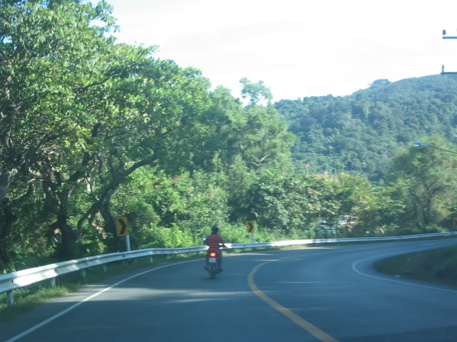 95babc29.jpg
