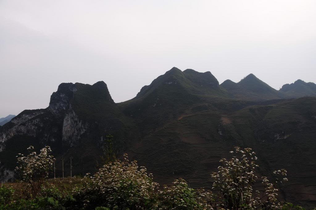 DSC_0827_zps1bbb4599.jpg