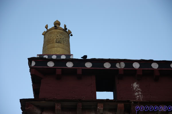 shangri-la39.jpg