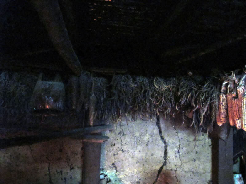 HongNgai2011405.jpg