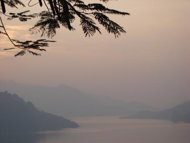 DSC02292.jpg