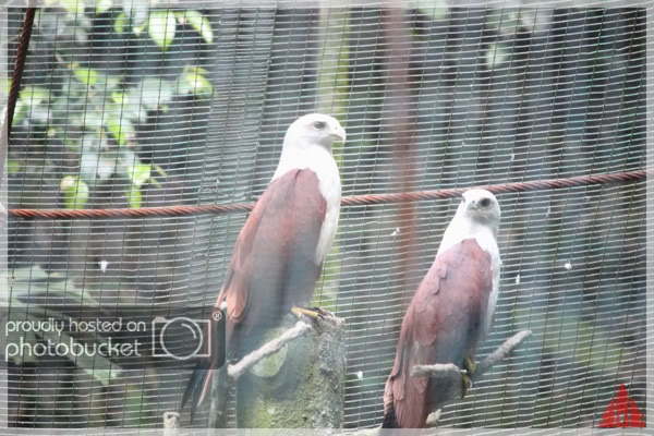 birdpark10.jpg