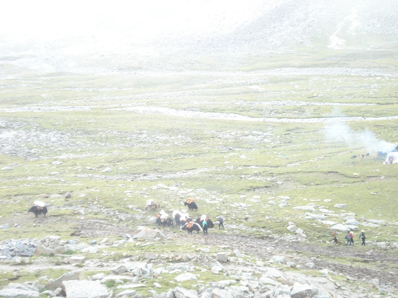 10-KoraDay22A-1.jpg